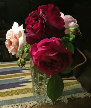 Roses