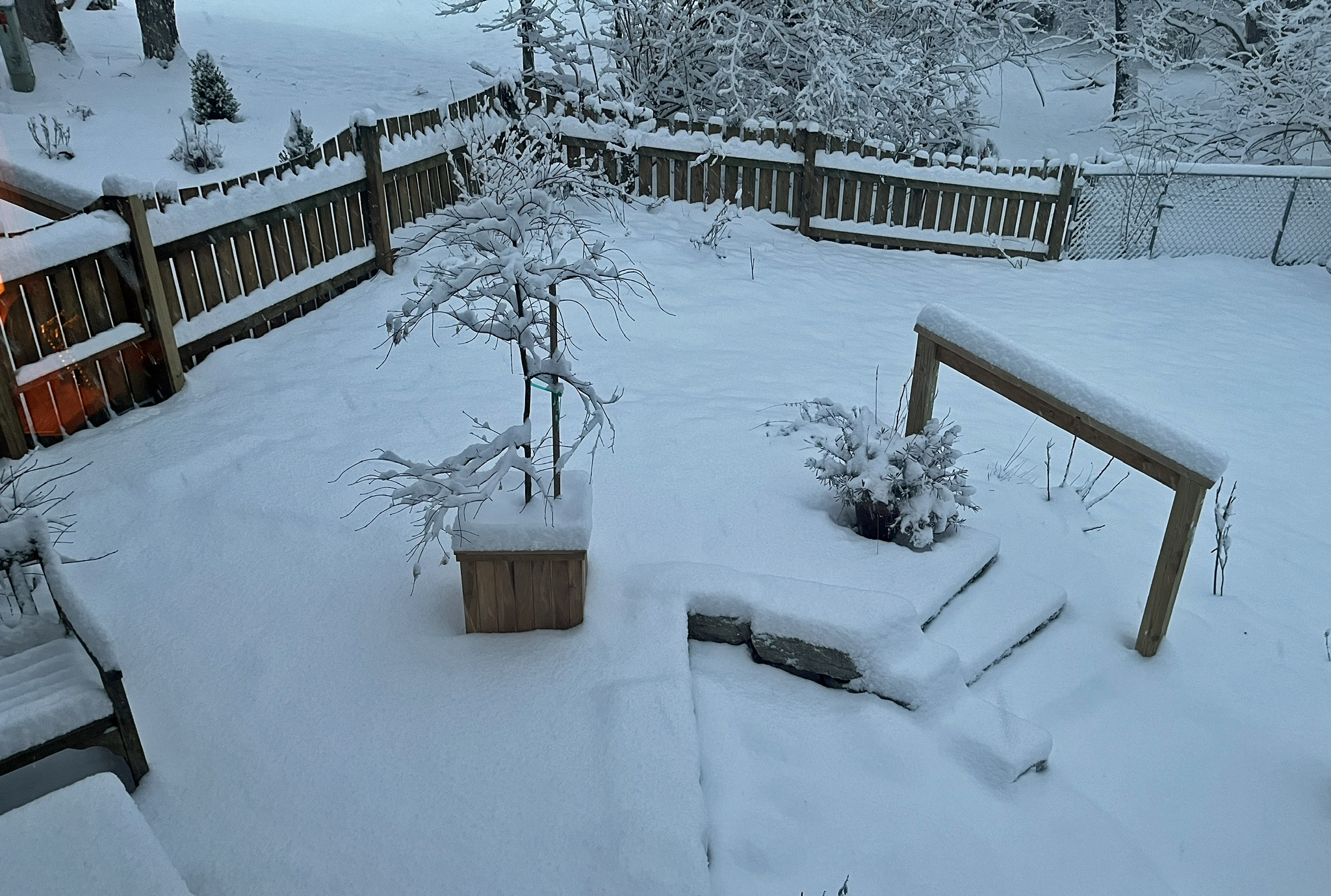 Snow