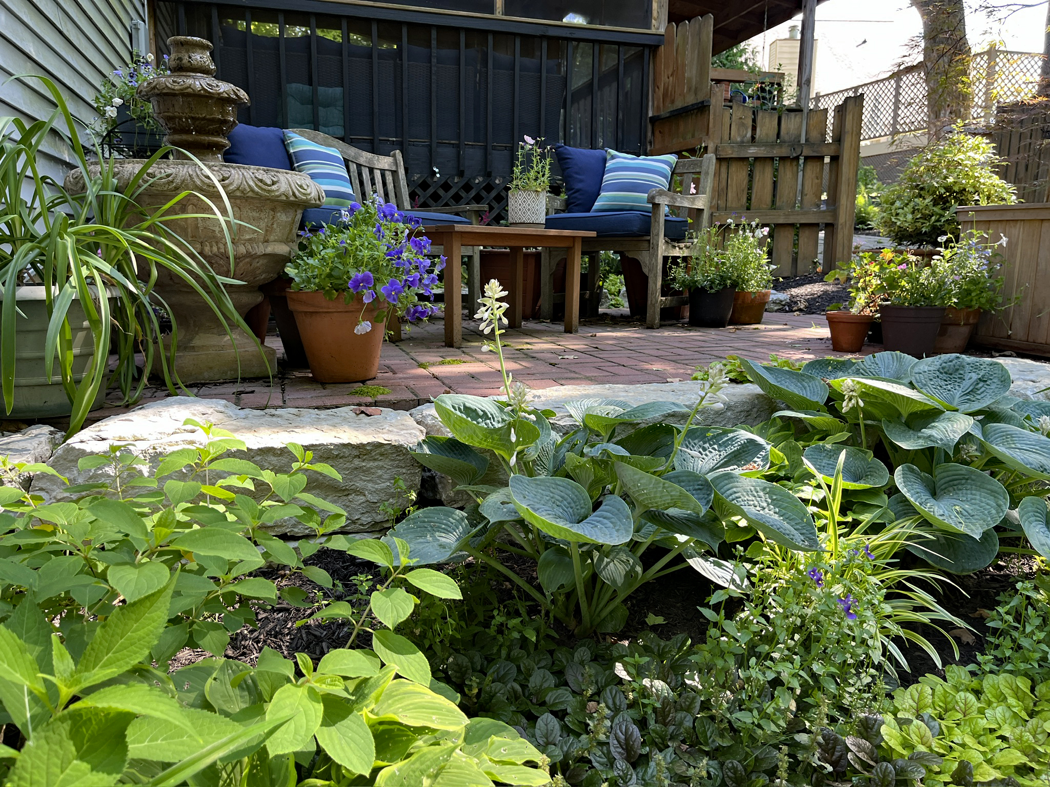 West patio garden